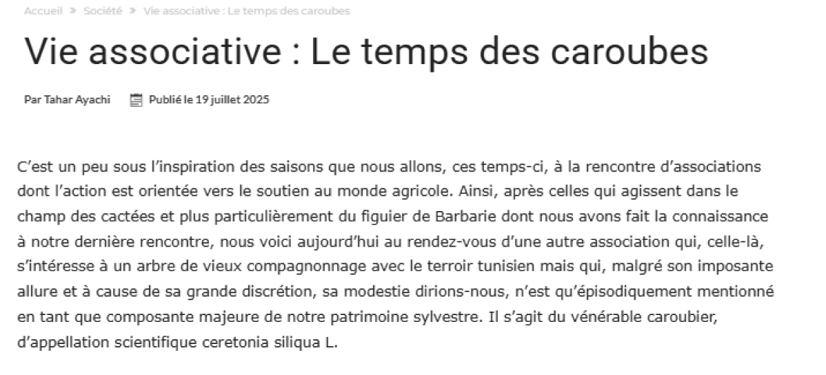Vie associative : Le temps des caroubes