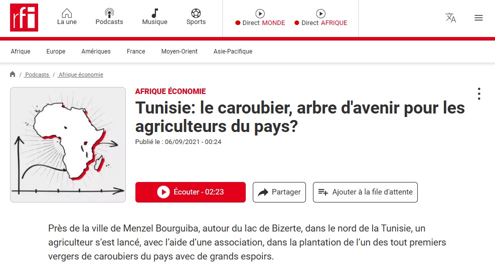 Tunisie: le caroubier, arbre d'avenir pour les agriculteurs du pays?